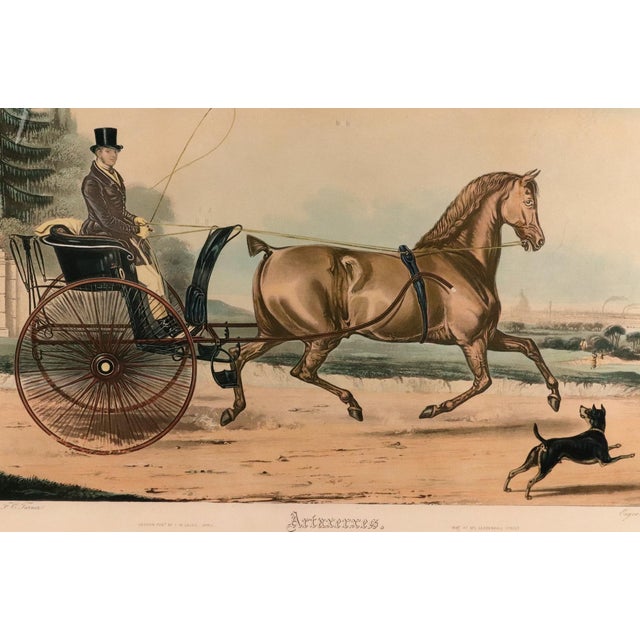 Victorian Large Aquatint of the Celebrated Trotting Stallion Artaxerxes After Francis Calcraft Turner For Sale - Image 3 of 9