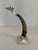 Brown Ram's Horn and Silver Candle Stick Holder For Sale - Image 8 of 10