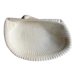 Antique Early 19th Century Wedgwood Cane Ware Clam Sea Shell Dish or Low Bowl