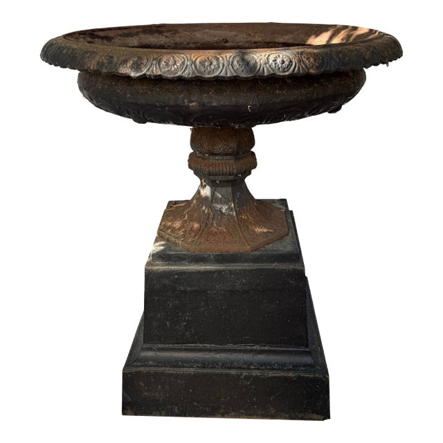 Antique Large Cast Iron Planter on Plinth With Rare Daisy Pattern For Sale