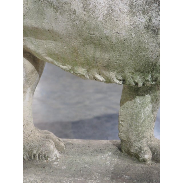A French Medici Style Lion in Reconstituted Stone, 20th C For Sale - Image 11 of 18