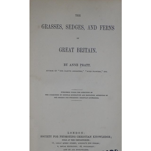 Green Antique 19th Century Botanical Lithographs - Set of 12 For Sale - Image 8 of 9