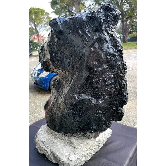 Statue Horse Horse in Black Painted Cement, Italy For Sale - Image 3 of 10