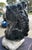 Statue Horse Horse in Black Painted Cement, Italy For Sale - Image 3 of 10