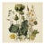 Vintage Botanical Garden Study No. 2 | Botanical Wall Art in Dark Green & Cream For Sale