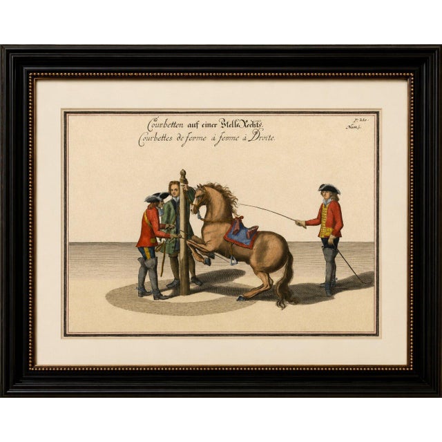Title: Baroque Courbette Horse Training Engraving after Newcastle, circa 1700 : This rare and highly decorative original...