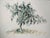 Brad Davis, Acrylic painting or Monotype "Oak II" Pattern and Decoration Movement, 1985 For Sale