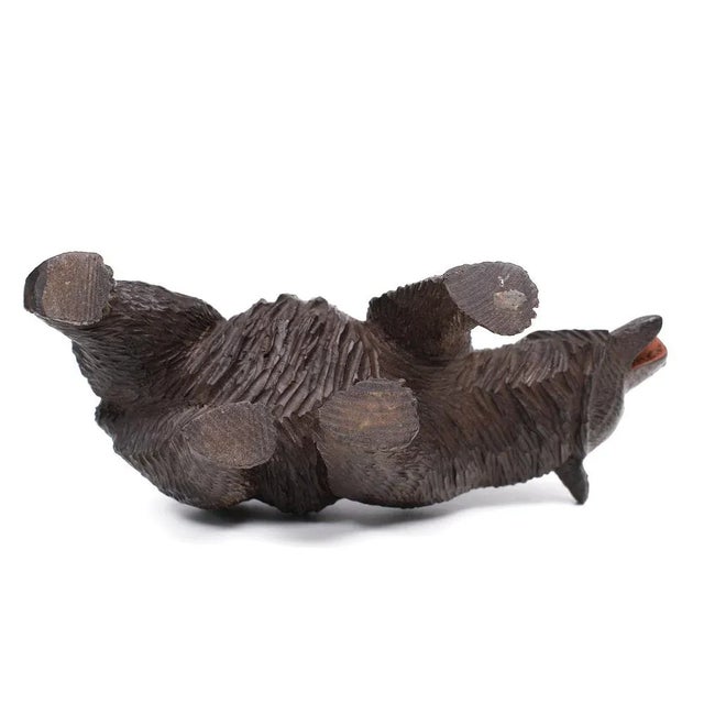 1920s Black Forest Glass Eye Bear, Germany, 1920s For Sale - Image 5 of 9