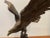 Realism Late 20th Century Large Eagle Bronze Sculpture For Sale - Image 3 of 8