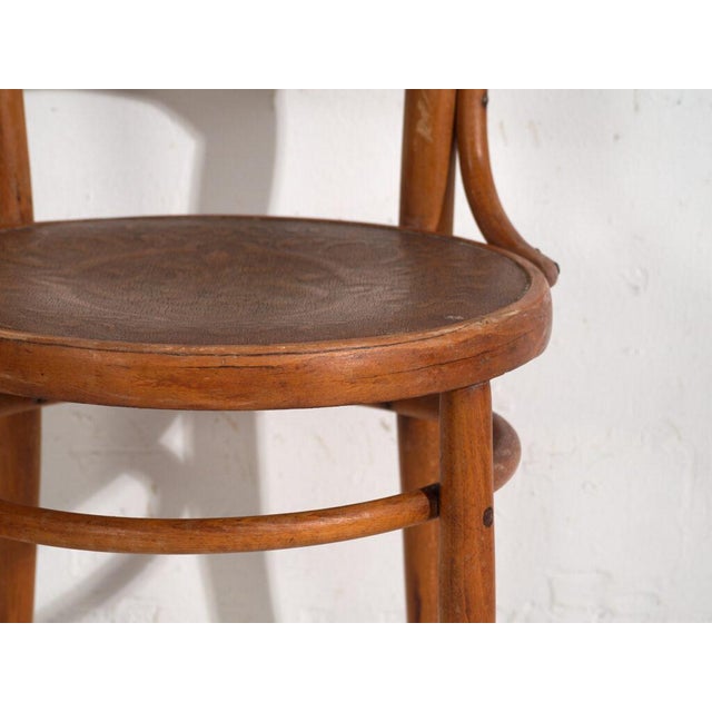 Brown Antique Bentwood Chairs, Central Europe, 1900s, Set of 2 For Sale - Image 8 of 11