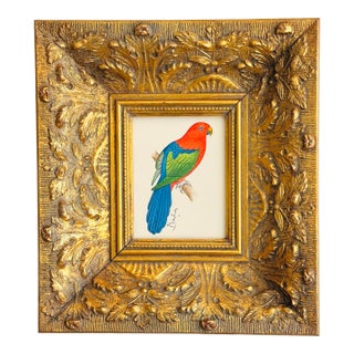 Original Hand-Painted Parrot Painting in a Vintage Gilt Frame For Sale