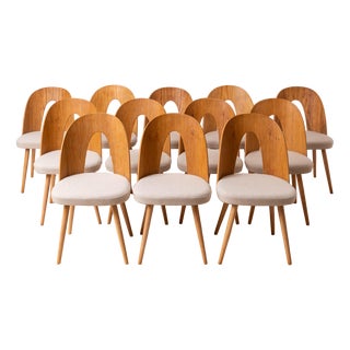 Mid-Century Dining Chairs attributed to A. Suman, 1960s, Set of 12 For Sale