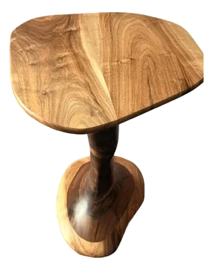 The Zebra Slot Hoodoo Side Table by Green Coyote
