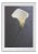 Harvey Edwards, Solo Flower, Offset Lithograph For Sale