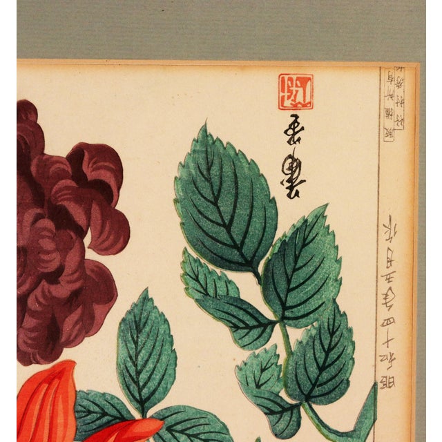 Japanese Woodblock Botanical Print of Three Distinct Varieties of Dahlia by Tanigami Kōnon For Sale In Philadelphia - Image 6 of 10