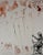 Surrealism 1960s Salvador Dali the Mythology Judgment of Paris For Sale - Image 3 of 5