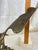 Sculpture Materials Vintage Solid Cast Brass Eagle Sculpture on Rocky Outcrop, 12” Tall For Sale - Image 7 of 9