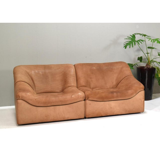 Brown Set of DS46 Cognac Buffalo Leather Sectional Sofa from De Sede, 1976 For Sale - Image 8 of 15