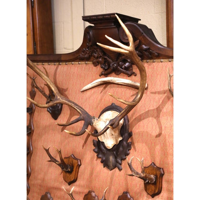 French 19th Century French Black Forest Style Walnut Hunting Trophy Wall Rack For Sale - Image 3 of 11