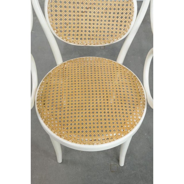 Vintage White Curved Wood Bistro Arcmhair For Sale - Image 6 of 18