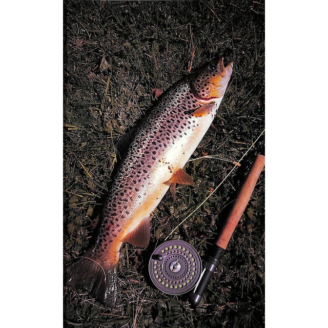 LEITCH, William C. [189] pp. Frank Amato Publications 1991 8 3/4" x 5 3/4" Trout fishing opportunities in Argentina....