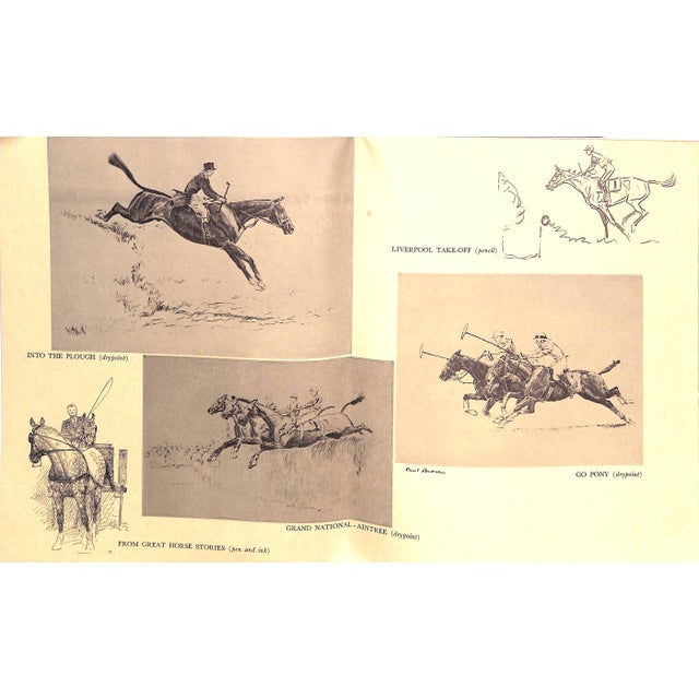 Mid 20th Century Paul Brown Pen & Ink Drawing of the Godolphin Mare For Sale - Image 4 of 8