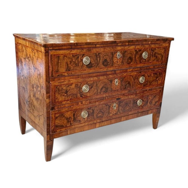 Louis XVI Three-Drawer Chest of Drawers in Olive Burl For Sale - Image 4 of 11