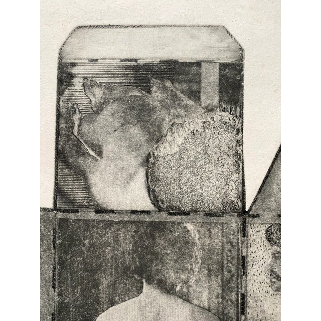 Black 1960s Sue Jester Male Box Nude Etching For Sale - Image 8 of 10