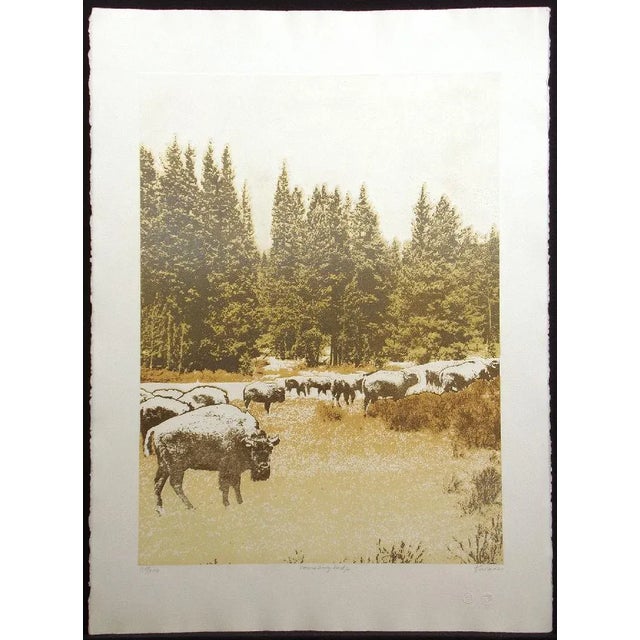 1980s 1980s Ted Thomas Realistic Etching of Buffalos Southwestern Art Print on Paper For Sale - Image 5 of 5