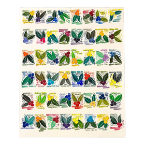Original Watercolor Ink and Wash Painting of “Color Chart in Berries”