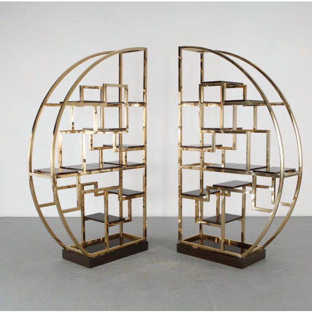 Custom Macassar Ebony and Brass Demi Lune Room Divider For Sale - Image 14 of 18