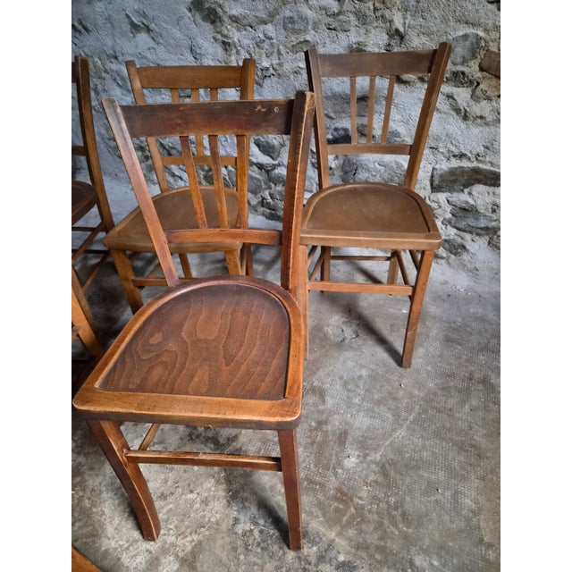 1950s Vintage French Beech Wood Bistro Chairs, 1950s, Set of 6 For Sale - Image 5 of 18