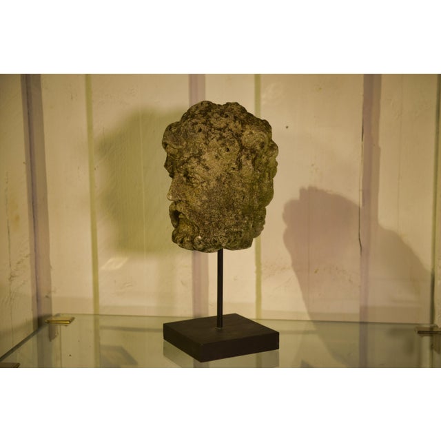 Early 19th Century Neo-Renaissance Stone Head of a Man, 1800s For Sale - Image 9 of 12