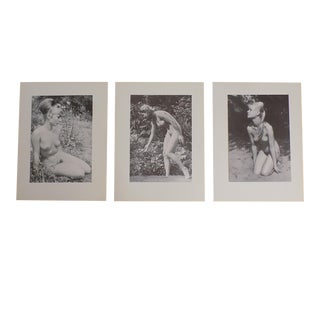 Vintage Ltd. Ed. Photogravures - Female Nudes - 1965 - Folio Size - Set of 3 For Sale