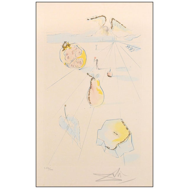 Surrealism Late 20th Century the Fruits of the Valley Surrealism Blue Etching Salvador Dalí For Sale - Image 3 of 6
