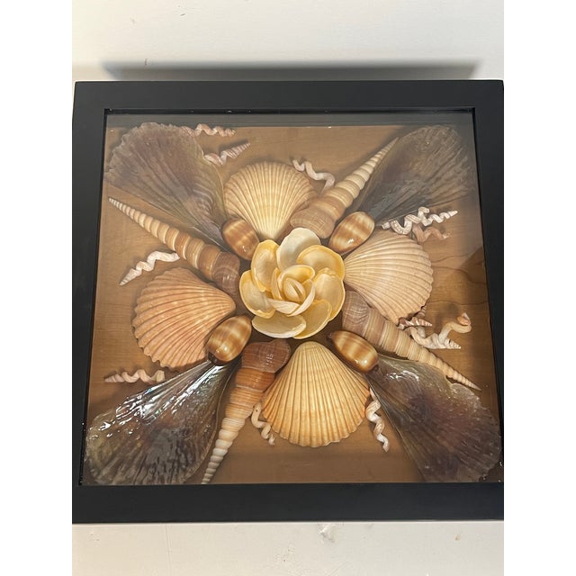 Beautiful shell art wall decor arrangement in shadow box.