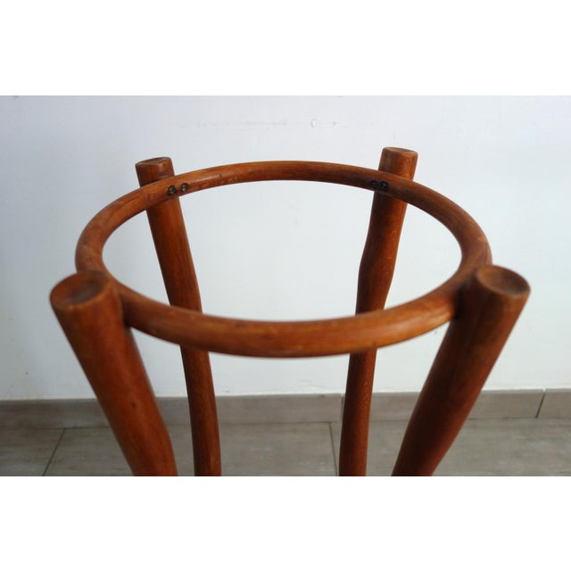 Wood Umbrella Stand from Thonet, 1890s For Sale - Image 7 of 12