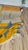 Handmade Moroccan Boujaad Rug, Mustard Grey Blue Diamond, 9'4" X 6'11" For Sale - Image 11 of 17