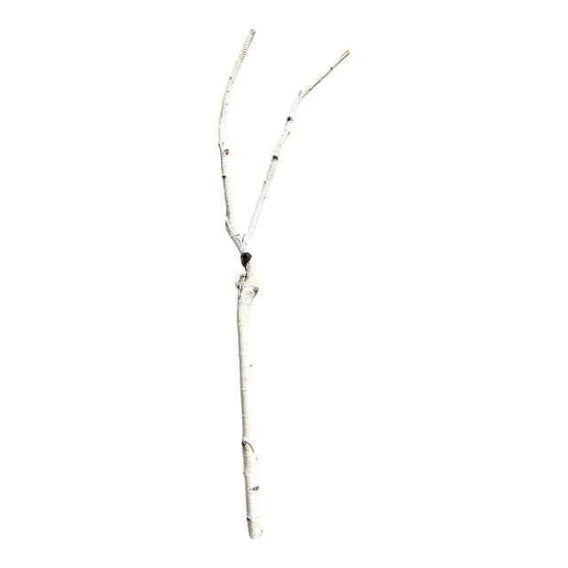Birchwood Branch Piece for Decoration, Style D For Sale