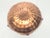 Add a warm, luminous glow of authentic Mid-Century California craft to your interior spaces with this exceptional piece of...