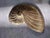 Vintage Brass Nautilus Shell Wall Hanging For Sale In Washington DC - Image 6 of 8