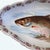 Antique L. Straus & Sons (Ls&s) Porcelain Fish Serving Platter Made in Carlsbad Austria For Sale - Image 4 of 6