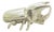 Vintage Italian Silver 800 Hercules Beetle Figurine, Milan, 1940s For Sale