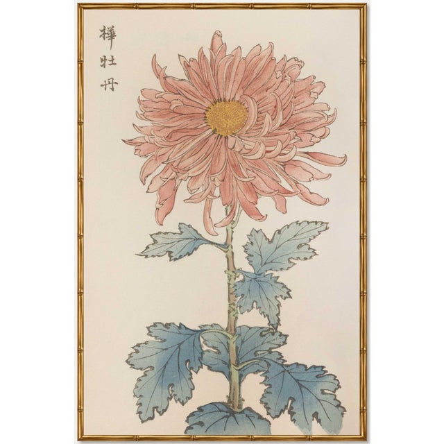 Pink Flower by Hasegawa, Vintage Japanese Botanical Art Print, 8" X 12" For Sale In Buffalo - Image 6 of 8