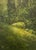 A Spring Thicket by Shawn Krueger | Oil on linen depicting a lush green thicket with rocks. For Sale
