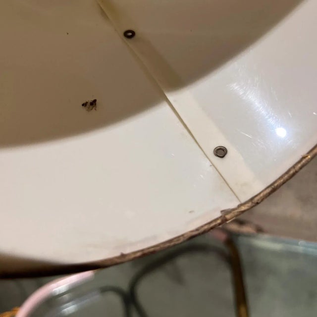 AMBIANIC presents 1950s French desk table lamp patinated brass style of Pierre Guariche Vintage writing lamp In the style...