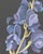 "Monkshood" Purple Wildflower Flower Painting by Allison Cosmos For Sale