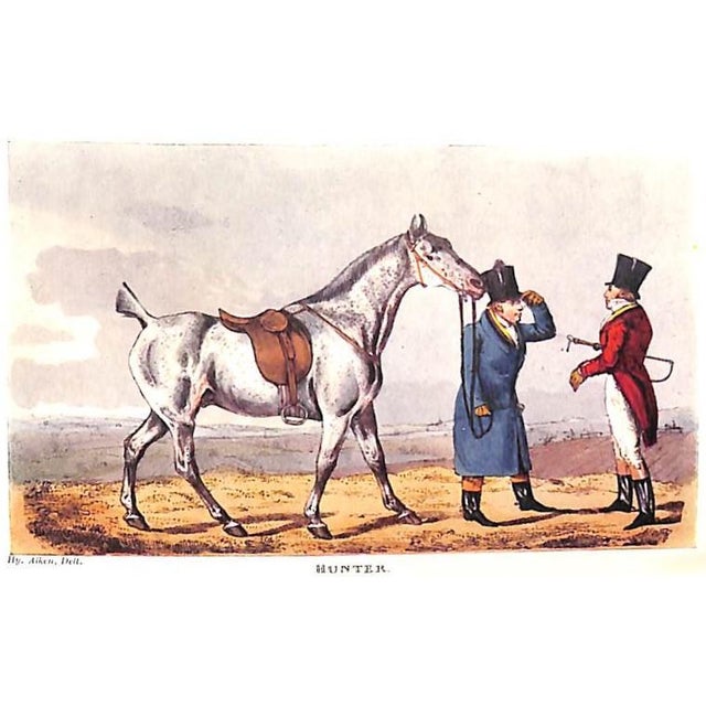 "National Sports of Great Britain" 1903 Alken, Henry For Sale - Image 4 of 12