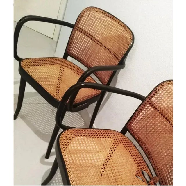 1930s Set of Vintage Bentwood Chairs by Josef Hoffmann, 1930 For Sale - Image 5 of 7