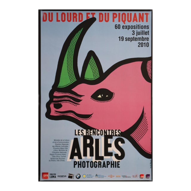 2010 Original Festival Poster, Arles Rhino - Michel Bouvet For Sale